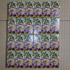 未開封 ヒカルの碁 TCG ブースターパック Vol.1 棋聖降臨 29パック