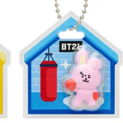 BT21 COOKY ミニチュア パッケージ チャーム キーホルダー ジョングク BTS