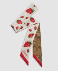 GUCCI グッチ GGアップル バンドースカーフ ネックボウ - メルカリ