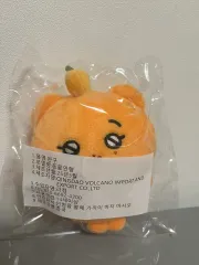 新品 SEVENTEEN(セブンティーン・セブチ) スングァン(SEUNGKWAN) 삐마랖 10cm ぬいぐるみ