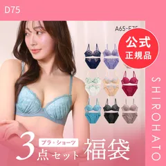 【SHIROHATO公式】【正規品・新品】ブラジャー ショーツ 3点セット 福袋 選べる5タイプ おまかせ 刺繍 レース おしゃれ シンプル ABCDEF 大きいサイズ(D75)