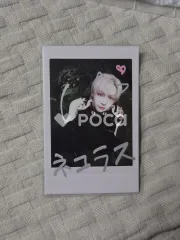 &TEAM ニコラス Back to Life Photocard Box Mini CD-R ver.