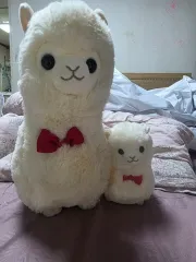 アルパカ ぬいぐるみ セット 白 (大/小)