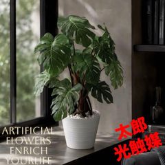 光触媒 人工観葉植物 ウォールグリーン フェイクグリーン タニワタリ 