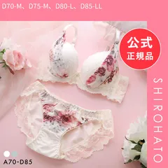 【SHIROHATO公式】【正規品・新品】サンエイ 脇高 シフォンサイドアップ ブラセット ABCD 脇肉 谷間 盛り はみ肉すっきり 脇寄せ ブラジャー ショーツ セット 美胸 SANEI(D70-M、D75-M、D80-L、D85-LL)