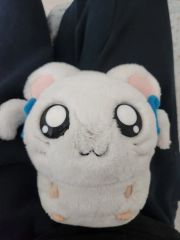 非売品】ラズリーちゃん ハム太郎ぬいぐるみ - メルカリ