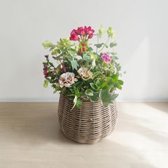 とっても強い♡ブロンズリーフとビタミンカラーの籠寄せ植え | Mercari