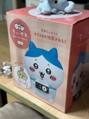ハチワレだらけくじ A賞 撮るよーッ!!! - メルカリ