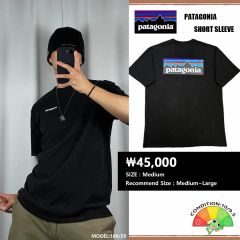 パタゴニア ヴィンテージロゴ ポケットTシャツ ポケT タグロゴ 旧タグ パタゴニアヴィンテージロゴポケットTシャツポケT タグロゴ旧タグデッド