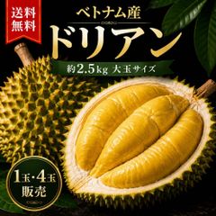 【数量限定】タイ産ドリアン 約9kg 6玉入り 佐川発送 数量限定】タイ産ドリアン 約9kg 6玉入り 佐川発送 - メルカリ