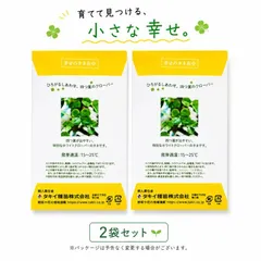 2026年最新】シロツメクサとクローバーの人気アイテム - メルカリ