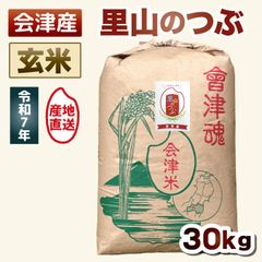 淡路島産 お米 30kg 令和7年産コシヒカリ 精米済 - メルカリ