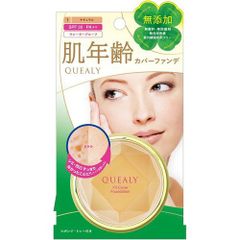 Fit Cover Foundation 1
