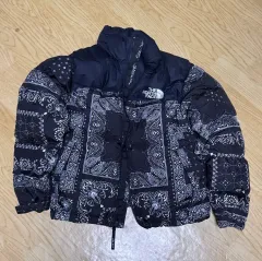 THE NORTH FACE 1996 レトロ ノベルティ ヌプシ ジャケット ブラック バンダナ ベイズリー ダウン