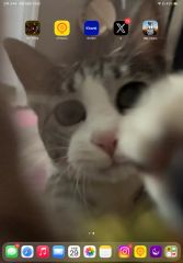こ*ち様 澤井星名 日プ新世界 チェキ ポラロイド 直筆サイン トレカ