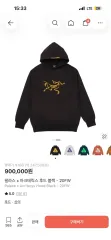 PALACE ARC'TERYX フーディー Tシャツ Mサイズ 出品のサムネイル