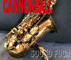 YANAGISAWA A-WO20 ブロンズ上位現行モデル アルトサックス 美品
