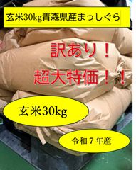 保冷庫14℃管理】令和7年産 こだわりのお米 コシヒカリ 玄米 30kg