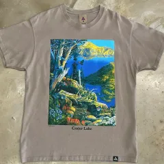 ナイキ ACG プリント 半袖T XL