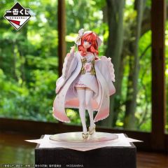 特典付】マッシュルームガールズシリーズ No.6 ハエマトケファルスタケ