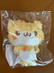 超特急 カイ 31th 生誕グッズ ぬいぐるみ カカ 新品未開封 - メルカリ