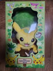 韓国 ポケモ30周年記念 アーバンフォレスト シークレットフォレスト