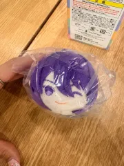 神崎 颯馬 ぬい もちもちマスコット 紅月 あんさんぶるスターズ！