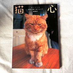 くじらのなみだ 今井鴻象・作／富永秀夫・絵 - メルカリ
