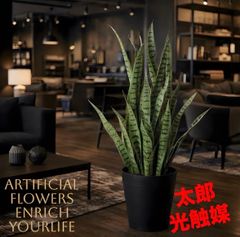 光触媒 観葉植物 ウォールグリーン フェイクグリーン ストレリチア 