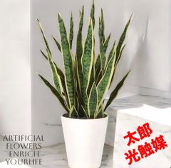 光触媒 人工観葉植物 ウォールグリーン フェイクグリーン ウンベラータ