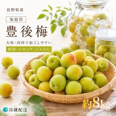 完熟南高梅 10kg梅干し 梅酒 ジャム用 - メルカリ