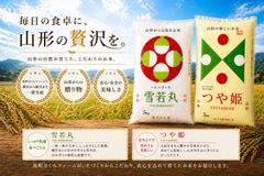 山形県おきたま七福会 特別栽培米 つや姫 5kg×2 新品 令和8年2月精米