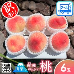 桃(日川)秀品 大玉6個 60サイズ箱入り - メルカリ