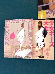 少女ポーズ大全 会田誠 ほしのあすか ポーズ集 - メルカリ