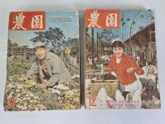 画集 堀文子 二重函入り 日本経済新聞社 - メルカリ
