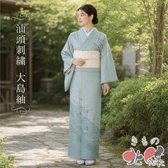 ◾️逸品◾️色無地 単衣錆青磁色/正絹 - メルカリ
