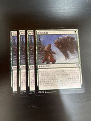 熊人間/Werebear 日本語 4枚 MTG - メルカリ