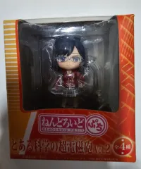 2011 ねんどろいどぷち とある科学の超電磁砲 