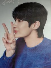 seventeen ウォヌ 直筆サイン サイン会 ブンブン - メルカリ