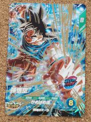 遊戯王 青眼の白龍 シークレット 3枚セット 海馬セット 25th