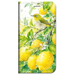 iPhone対応 スマホ 手帳型ケース 梅雨 初夏 爽やか レモン メジロ ビタミンカラー 雫 イエロー フルーツ 瑞々しい 涼やか スマホケース スタンド 【iPhone17 / iPhone16 他 iPhone各機種対応】 |iard0151のサムネイル