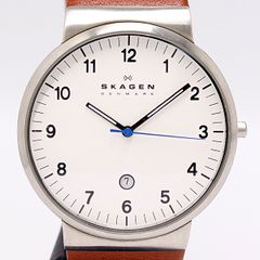 SKAGEN 限定モデル WORLD PRIDE SKW6760 - メルカリ