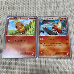 【857】ポケモンカード アチャモ ワカシャモ XY3 1ED 2枚のサムネイル
