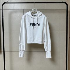 FENDI ROMA Tシャツ グレー ウォッシュ加工 - メルカリ