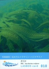 中古】サプライ キャラクタースリーブコレクション アクエリアンエイジ