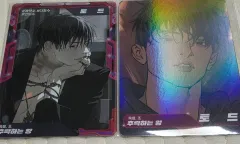 レジン数 추락하는양토드 ARトレーディングカード ver 1