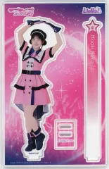 【入手困難あり】岬なこ アクスタ11点 ＆ にゃこ セット 2026年最新】岬なこ アクリルスタンドの人気アイテム - メルカリ