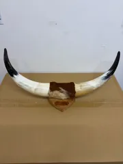 水牛の角の装飾品 壁掛け 昭和レトロビンテージ - メルカリ