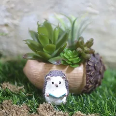 グランポットM　ハリネズミ　植木鉢　木の実　どんぐり　フラワーポット　ガーデニング　多肉植物　友膳