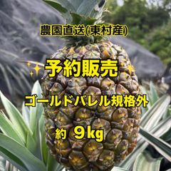 数量限定】石垣島産ゴールドバレル5kg (サイズ/個数おまかせ) - メルカリ